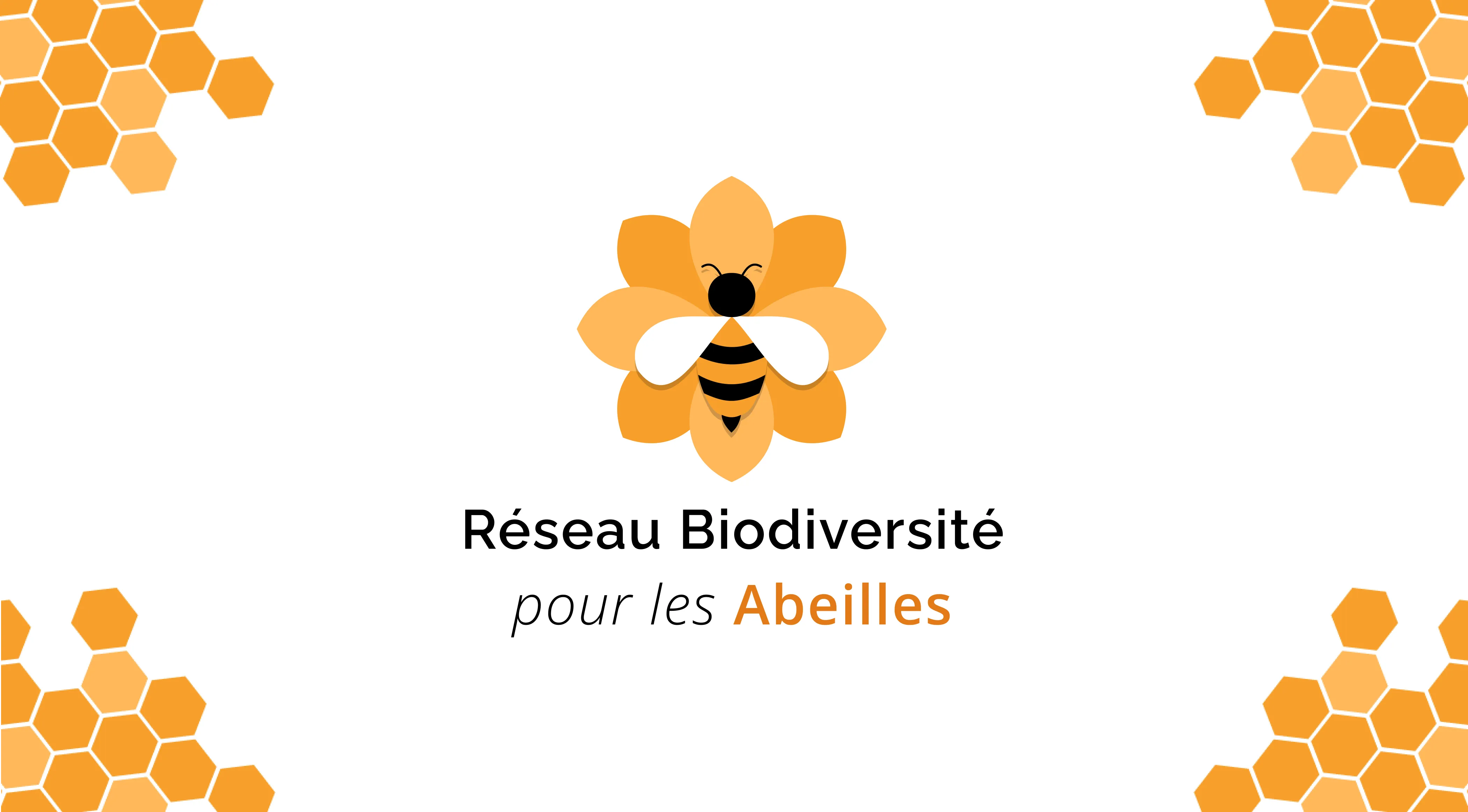 Visuel d'introduction RBA