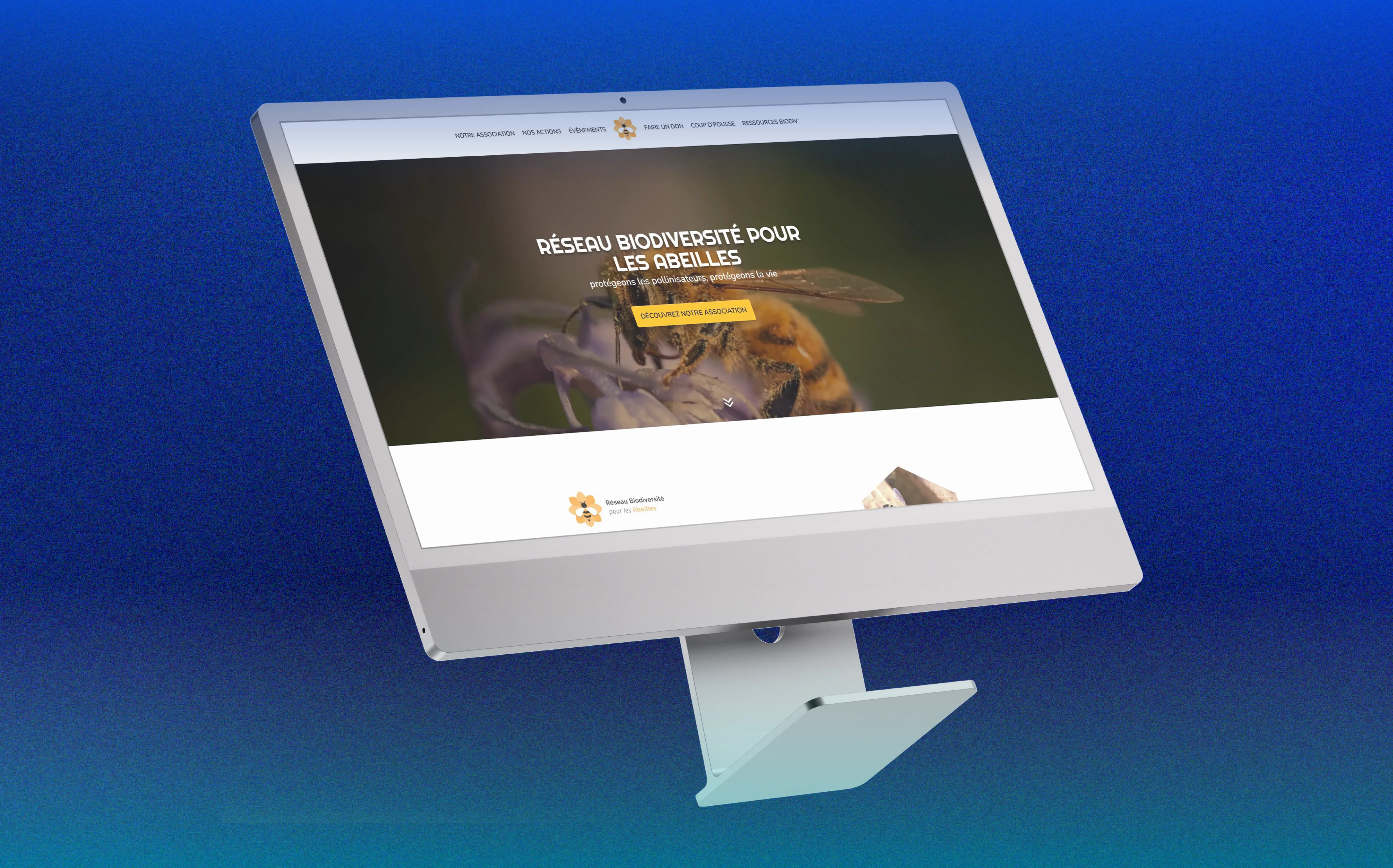 Réseaux Biodiversité pour les Abeilles